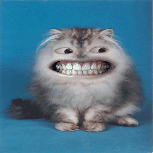 Funny GIF For Whatsapp Download Funny GIF Funny GIF For Whatsapp Download Funny GIF
