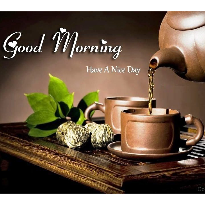 Good Morning Images for WhatsApp Brightening Up Your Loved Ones' Day 7 Good Morning Images for WhatsApp Brightening Up Your Loved Ones